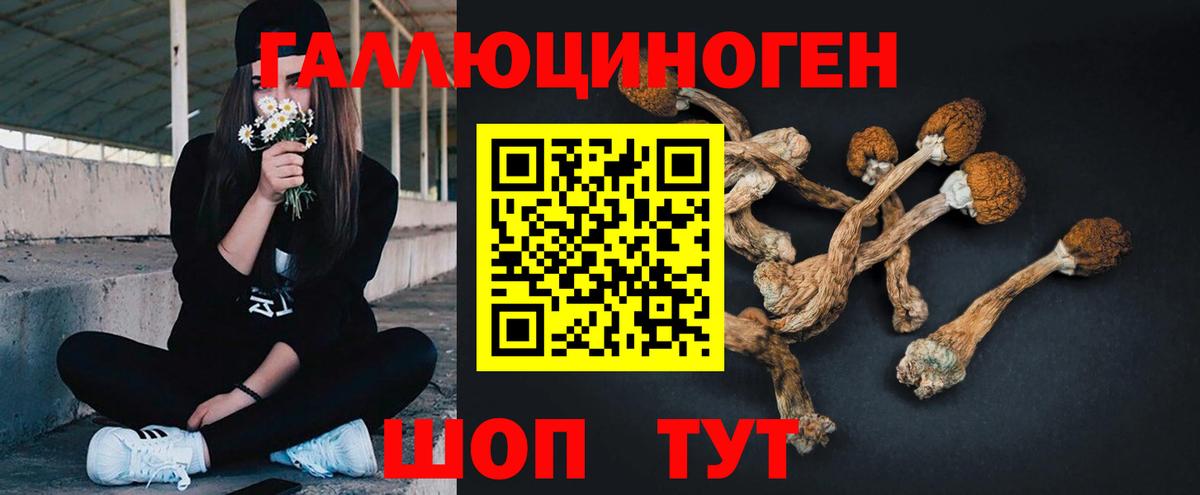 Кирово-Чепецк  Галлюциногенные грибы прущие грибы  Вход с VPN 