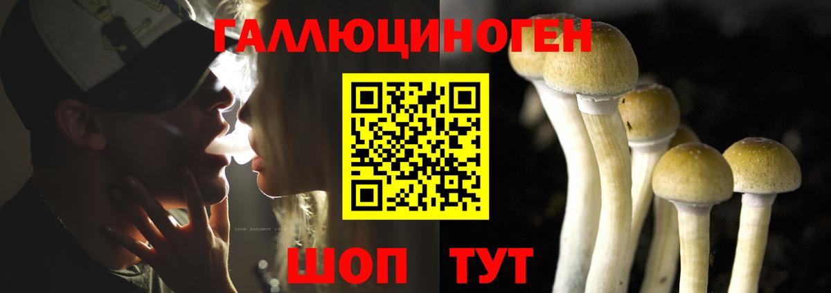 Псилоцибиновые грибы Magic Shrooms Кирово-Чепецк